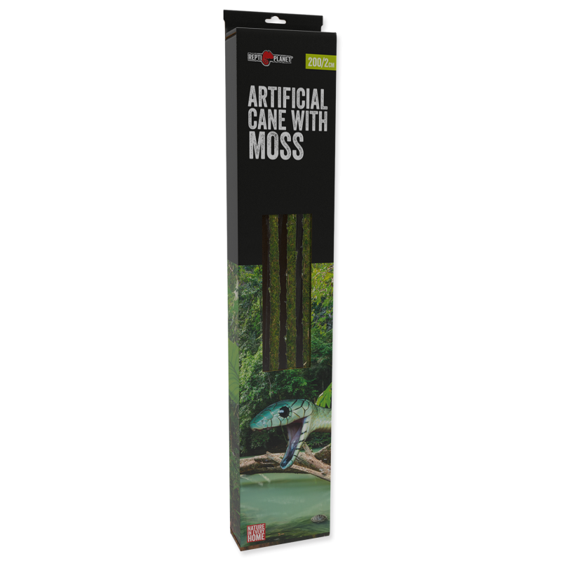 Artificial cane with moss 200cm 2cm