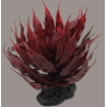 Plante "Sukulent Agave rød" 18cm