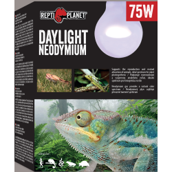 Pære "Daylight Neodymium" 75W