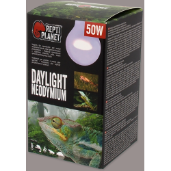 Daylight Neodymium 50W