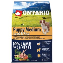Ontario Adult Medium Lamb &...
