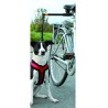 Biker-set - cykelholder til hunden - håndfri cykelsnor