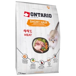 Ontario Cat Shorthair 6,5 kg.