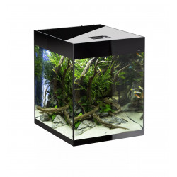 Glossy akvarie Cube 50x50x63 132 Ltr sort