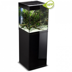 Glossy akvarie Cube 50x50x63 132 Ltr sort