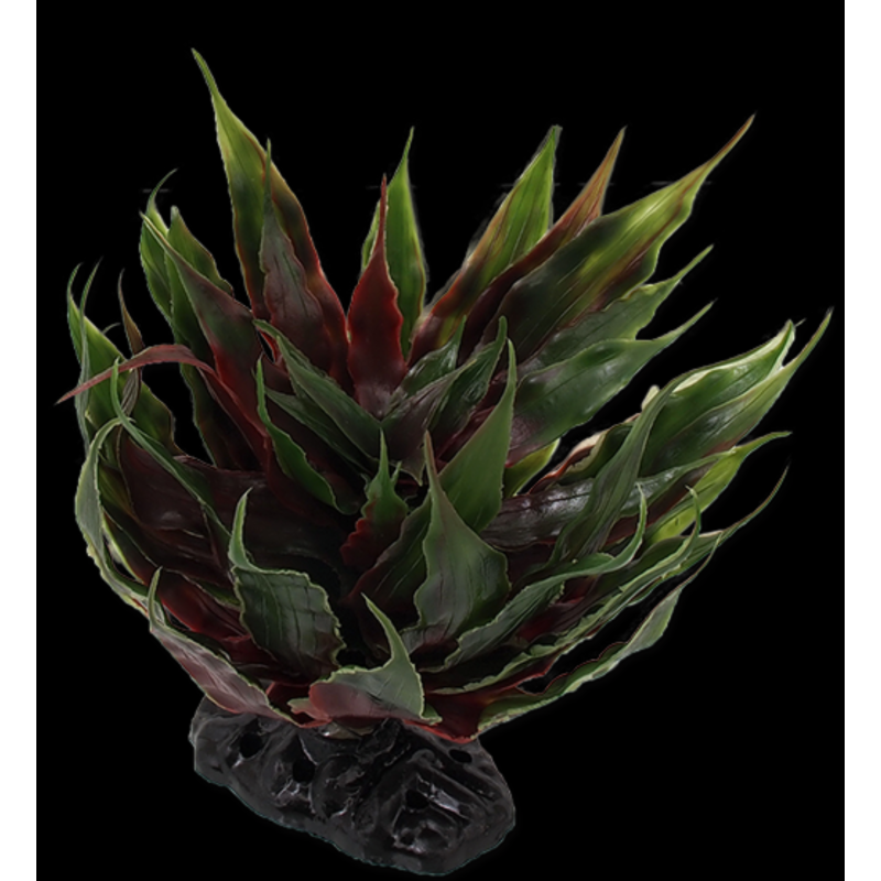 Plante "Sukulent Agave grøn" 18cm